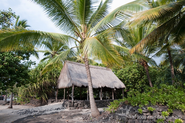 20091102_150737D3.jpg - Pu'uhonua o Honaunau (Place of Refuge) is since 1961 a National Park