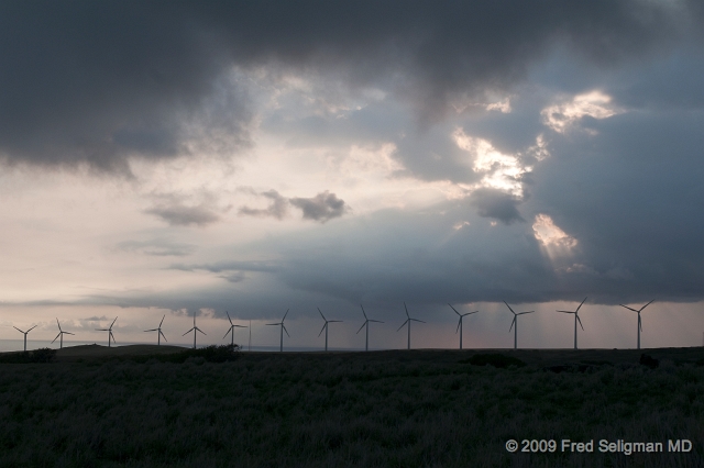 20091102_171407D300.jpg - Komoa Wind Farm, South Point, Hawaii