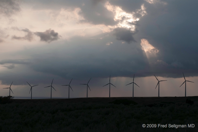 20091102_171418D300f.jpg - Wind turbines, South Point, Big Island