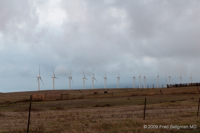 20091102_173827D300.jpg - Komoa Wind Farm, South Point, Hawaii