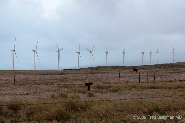 20091102_173938D300.jpg - Komoa Wind Farm, South Point, Hawaii