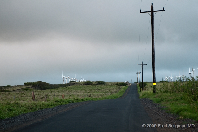 20091102_174545D300.jpg - South Point Road, Hawaii, Hawaii