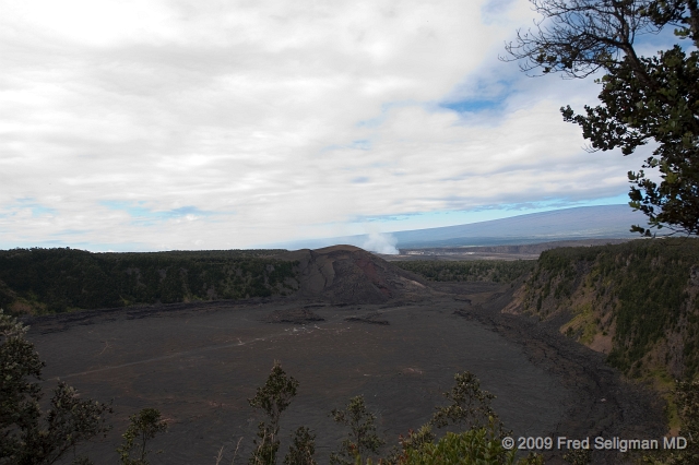 20091103_100547D3.jpg - Steam from Kilauea Caldera, Volcano National Park, Hawaii