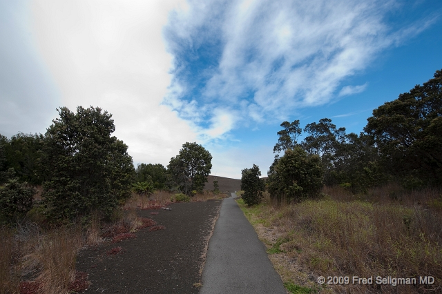 20091103_110314D3.jpg - Volcano National Park, Hawaii