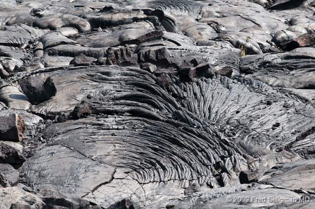 20091103_125842D3.jpg - Lava formations, Volcano National Park