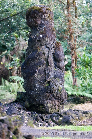 20091103_155129D3.jpg - Lava trees form when smooth ropy (pahoe-hoe) lava encounters wet 'ohi'a trees.  Lava Tree State Park, Hawaii