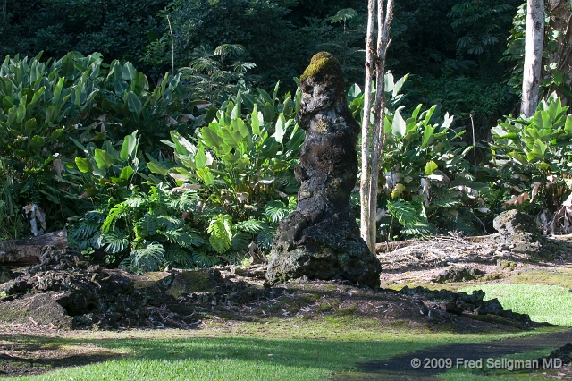20091103_155841D3.jpg - Lava Tree State Park, Hawaii