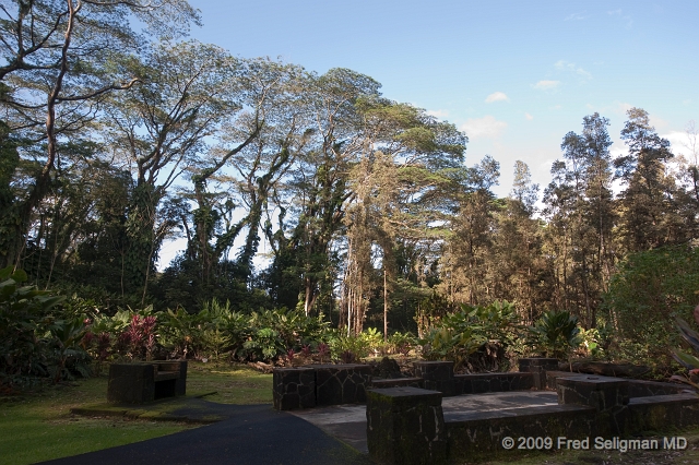 20091103_160057D3.jpg - Lava Tree State Park, Hawaii