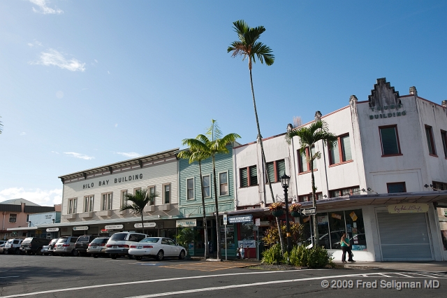 20091104_085105D3.jpg - Hilo is the 2nd largest city in Hawaii.  The area closest to the ocean is now a Park.  It had been the center of the town until 1946 when an earthquake in the Aleutian Islands produced a 14 foot  tsunami that killed 160 people.