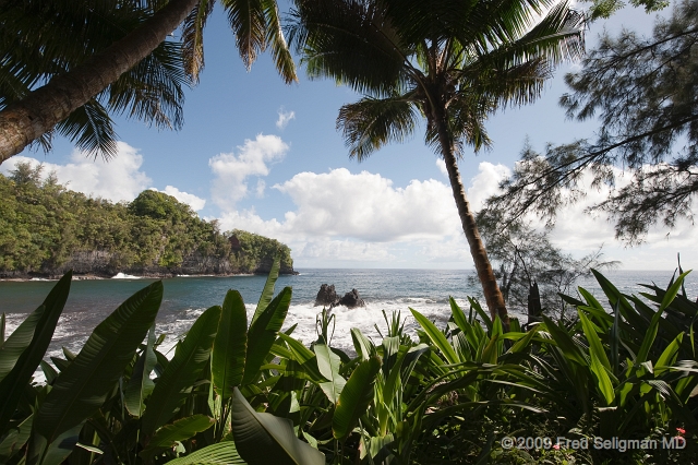 20091104_100511D3.jpg - Ocean view, Hawai Botanical Gardens