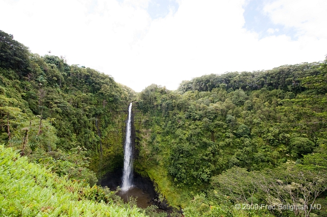 20091104_120511D3.jpg - Alaka Falls falls 420 feet