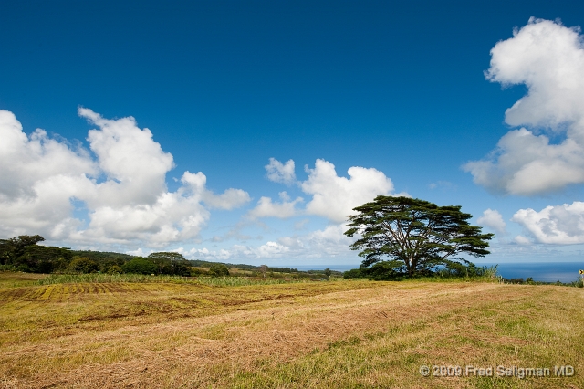 20091104_122238D3.jpg - Landscape, Hamakua Coast