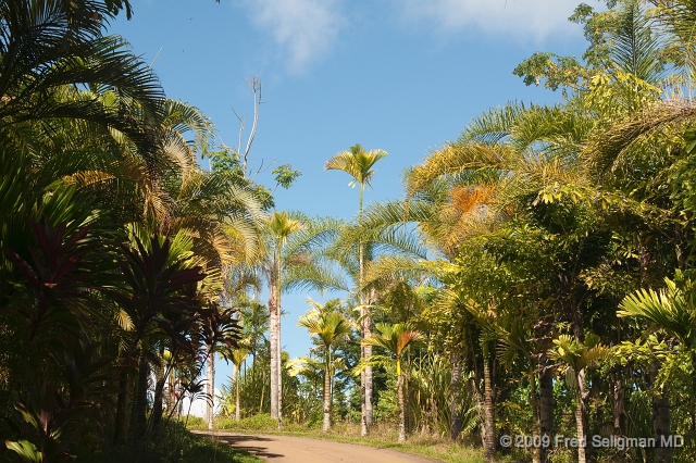 20091104_135800D300.jpg - Landscape, World Botanical Gardens, Hawaii