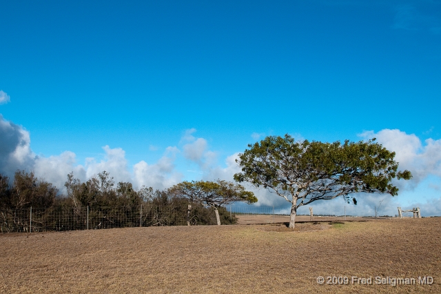 20091104_162938D300.jpg - Waimea landscape