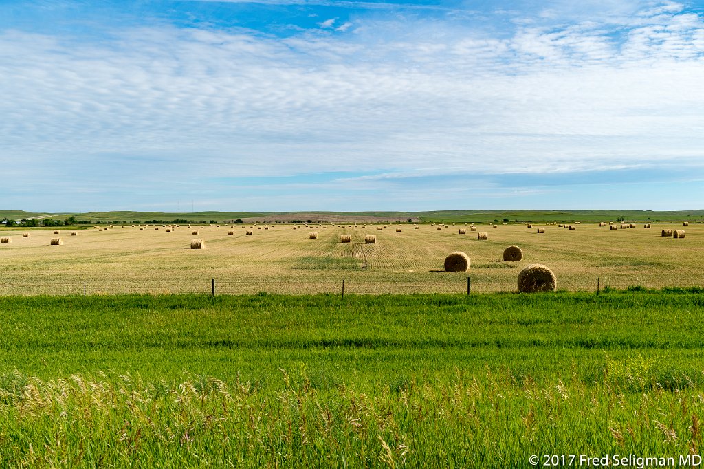 20170620_093657 D4S.jpg - There were nearly 80,000 farms in South Dakota at the beginning of the 20th century. Now there are fewer than 30,000.