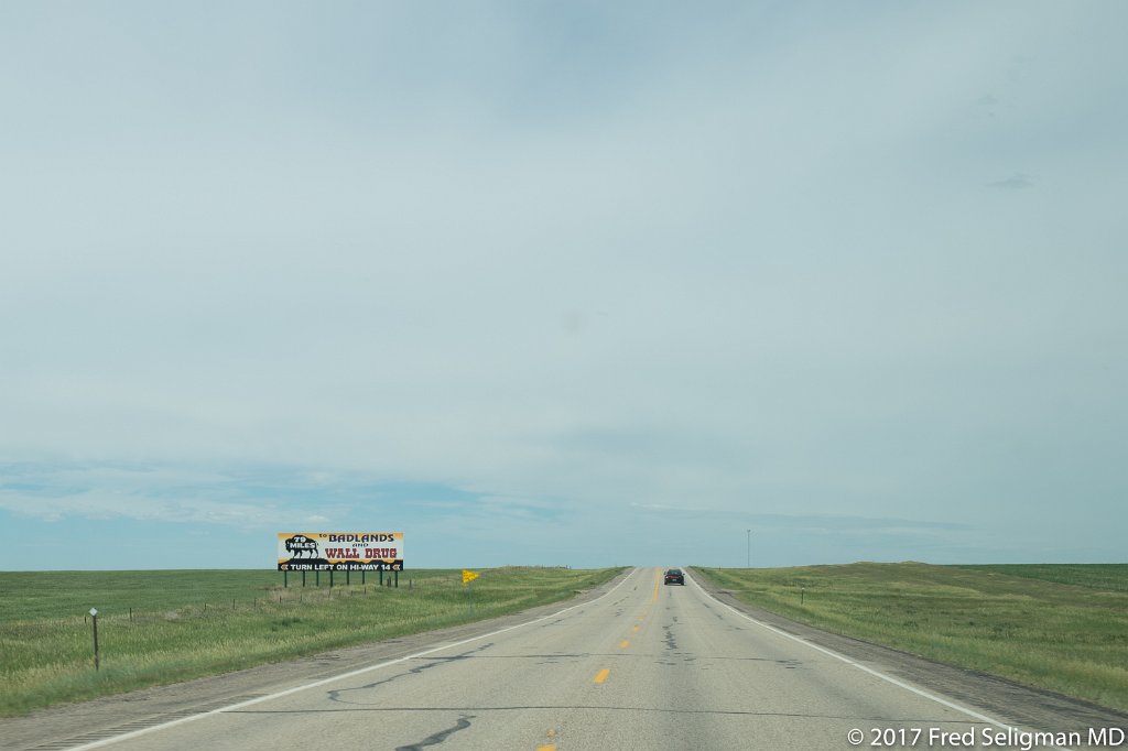 20170620_123003 D4S.jpg - Wall Drug signs are  seen all over the area, many miles away from the site
