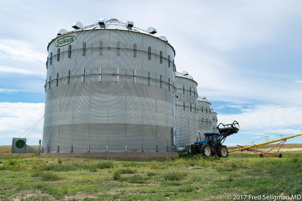 20170620_124301 D4S.jpg - Grain silos, South Dakota