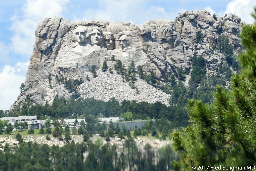 20170621_132943 D500.jpg - View of Mt. Rushmore from one of the nearby scenic drives
