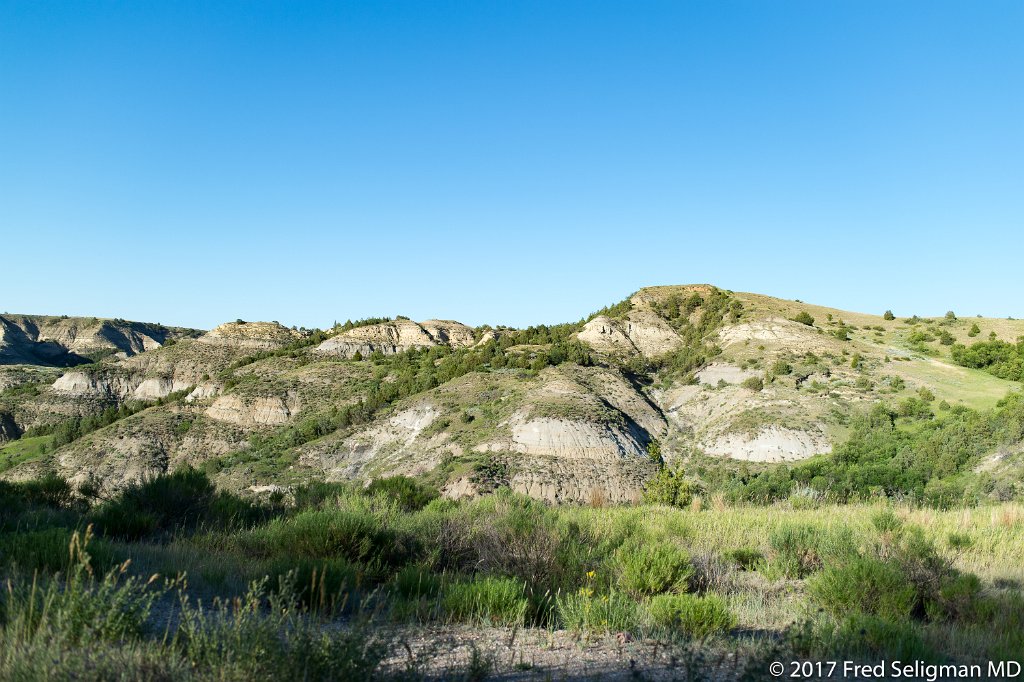20170621_194946 D4S.jpg - Theodore Roosevelt National Park lies in western North Dakota, where the Great Plains meet the rugged Badlands. A habitat for bison, elk and prairie dogs, the sprawling park has 3 sections linked by the Little Missouri River. The park is known for the South Unit’s colorful Painted Canyon and the Maltese Cross Cabin, where President Roosevelt once lived.  The smaller North Unit is situated about 80 mi (130 km) north of the South Unit, on U.S. Highway 85, just south of Watford City, North Dakota, site of the current photo.