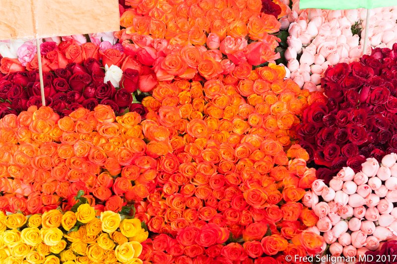 116 20170305_114052 D3S.jpg - Jamaica Flower Market, Mexico City