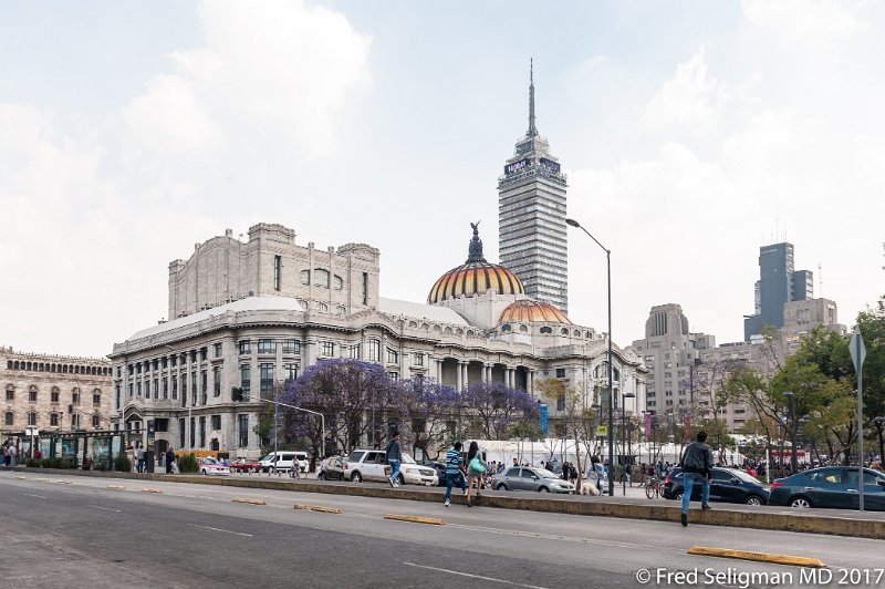 144 20170305_143638 D3S.jpg - The Palacio de Bellas Artes is a prominent cultural center in Mexico City. It has hosted some of the most notable events in music, dance, theatre, opera and literature and has held important exhibitions of painting, sculpture and photography.