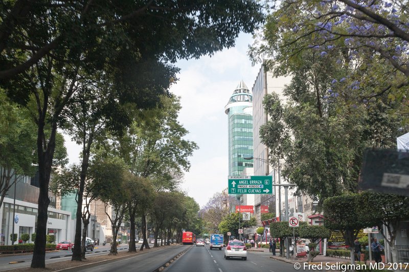203 20170306_142622 D3S.jpg - Avenue Insurgentes South, Mexico City