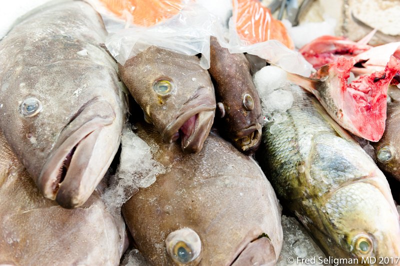 207 20170306_151353 D3S.jpg - Fresh fish, San Juan Market, Mexico City