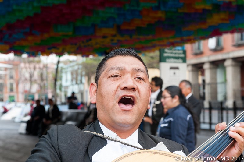 237 20170306_162036 D3S.jpg - In Mexico City, the center of mariachi music remains Garibaldi Plaza