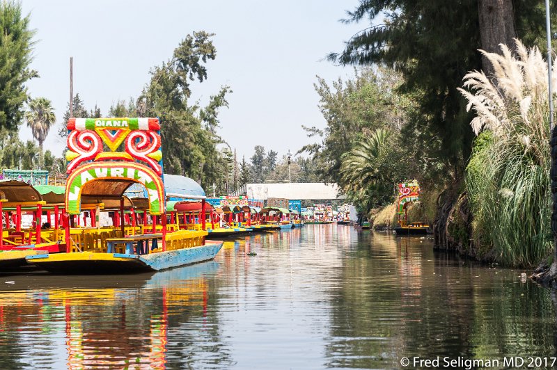 45 20170304_120450 D3S.jpg - Xochimilco, one of 16 municipilaties of Mexico City, is best known for its canals, which are left from what was an extensive lake and canal system that connected most of the settlements of the Valley of Mexico. These canals, along with artificial islands called chinampas, attract tourists and other city residents to ride on colorful gondola-like boats called “trajineras” around the 110 mi of canals.