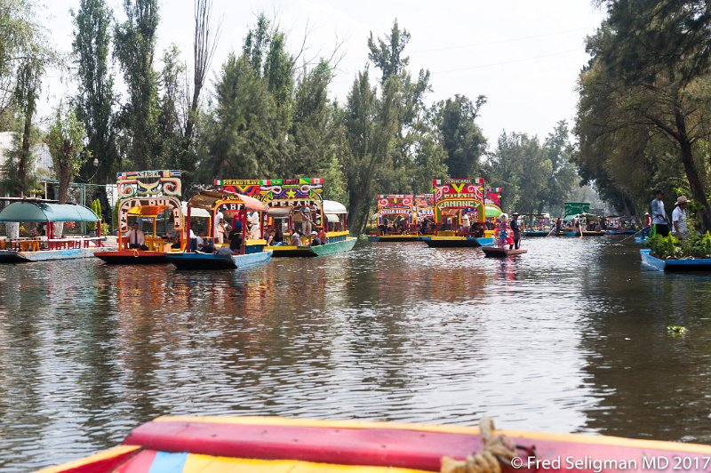 59 20170304_123424 D3S.jpg - Trajineras on Xochimilco canal