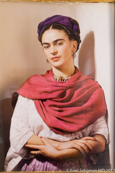 78 20170304_231445 D3S.jpg - Frida Kahlo Museum
