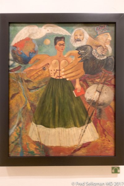 99 20170304_234354 D3S.jpg - Frida Kahlo Museum
