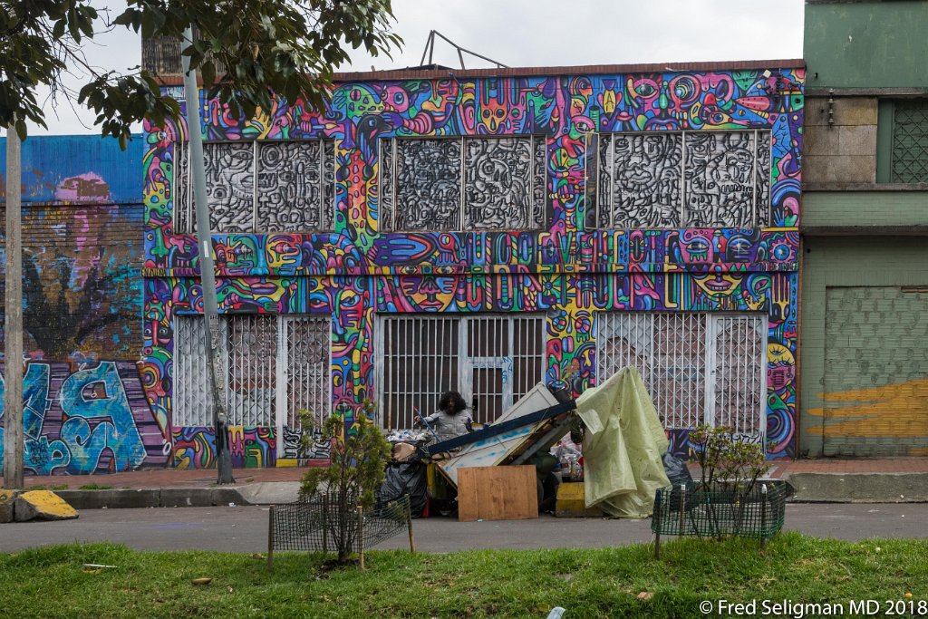 20180203_093656 D850.jpg - A colorful Bogota neighbourhood