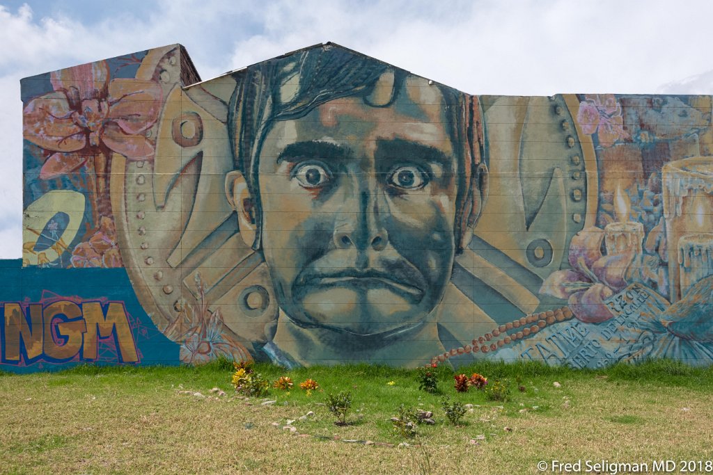 20180203_110848 D850.jpg - Wall art frequent in Bogota.  This artist, one of the most famous in Columbia,  was killed when he was campaigning for President