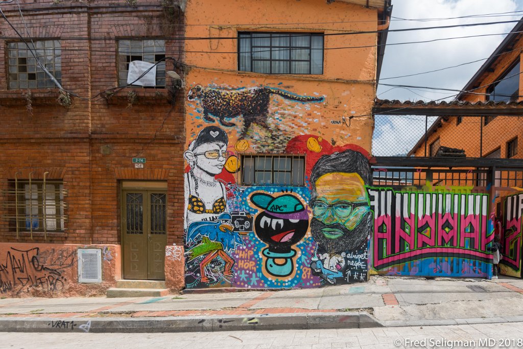 20180203_113250 D850.jpg - Bogota