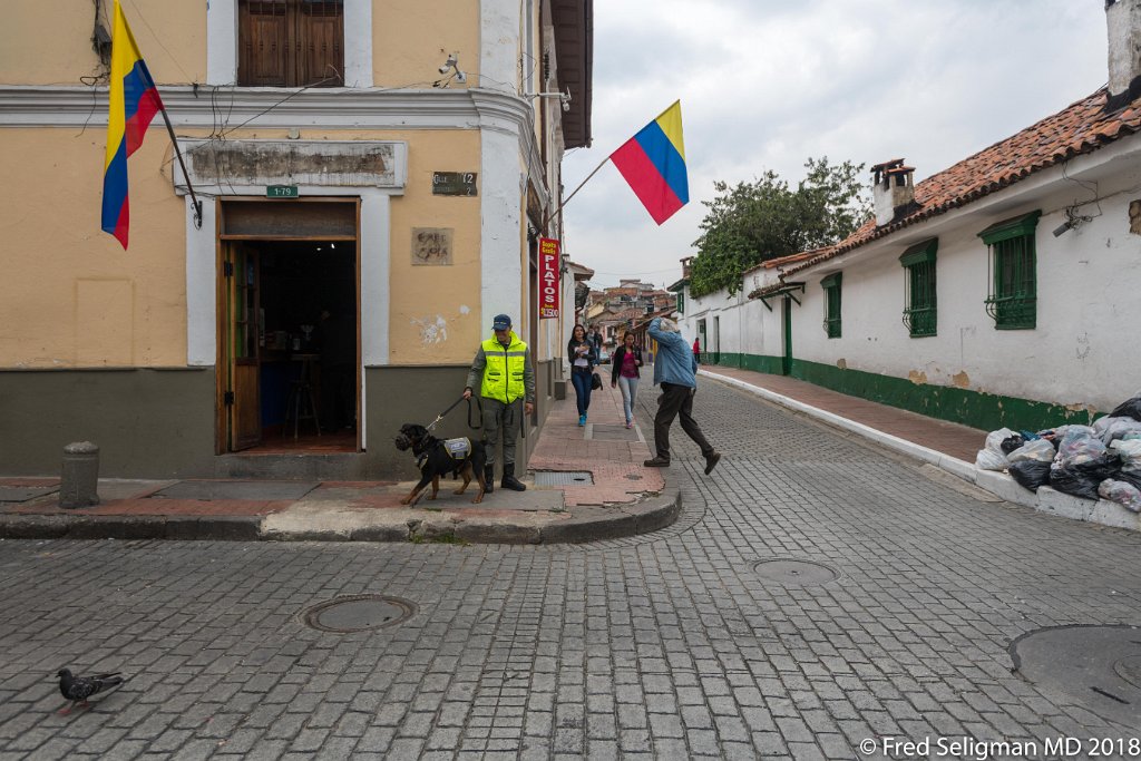 20180203_121700 D850.jpg - Bogota