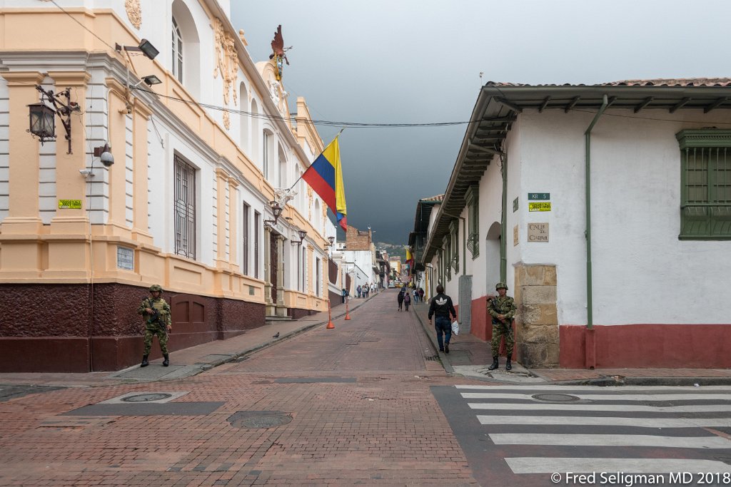 20180203_160540 D850.jpg - Presidential Palace, Bogota