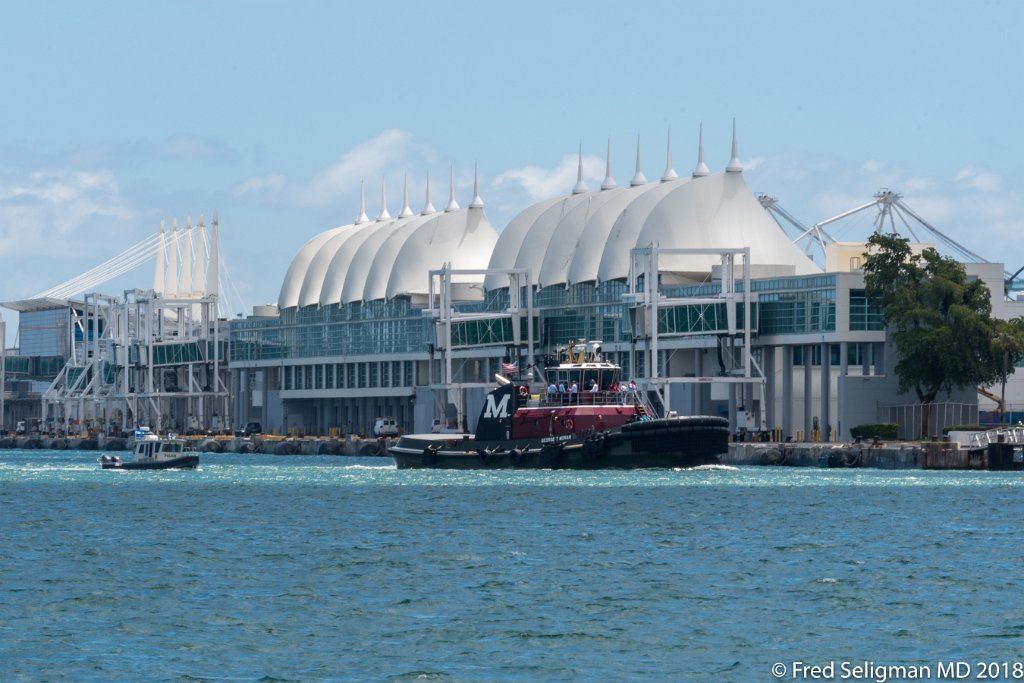 20180403_124710 D500.jpg - Tug boats in Government cut