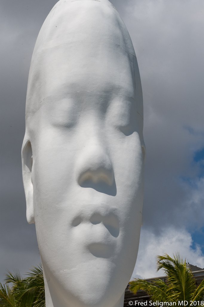 20180403_125143 D500.jpg - Perez Art Museum. Jaume Plensa's "Looking Into My Dreams, Awilda,"  ("Seams" have been filled in post processing!)