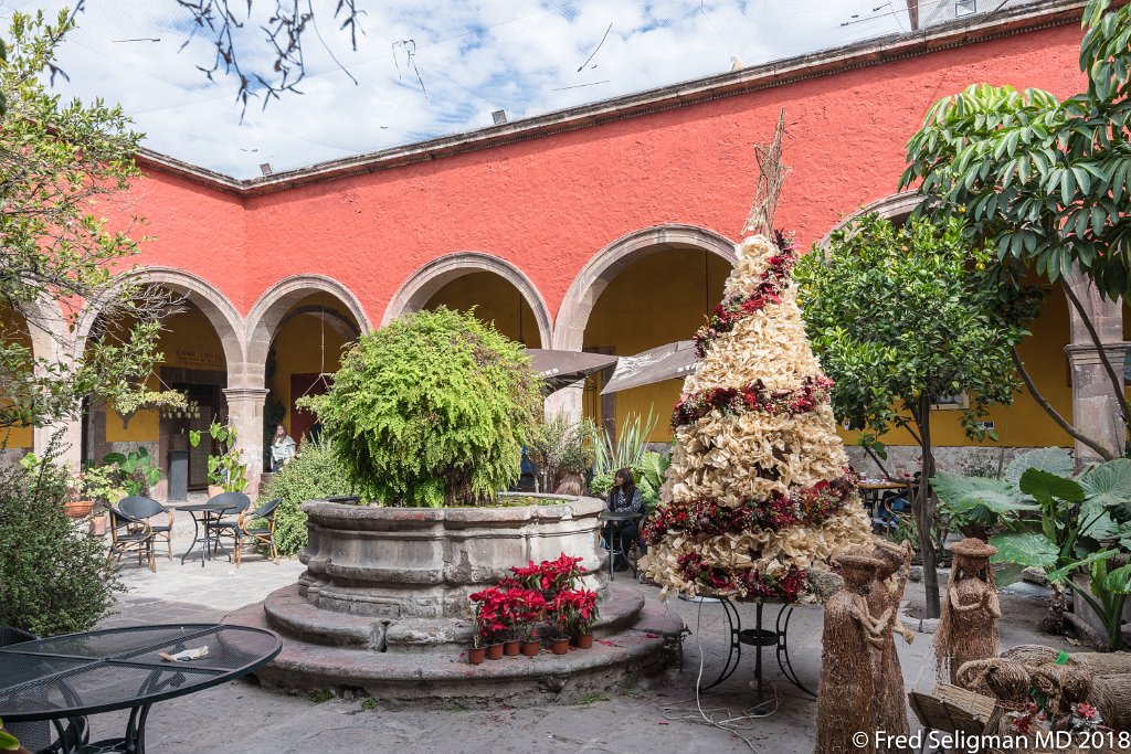 20171231_144108 D850.jpg - A typical courtyard behind one of the many interesting doors of San Miguel