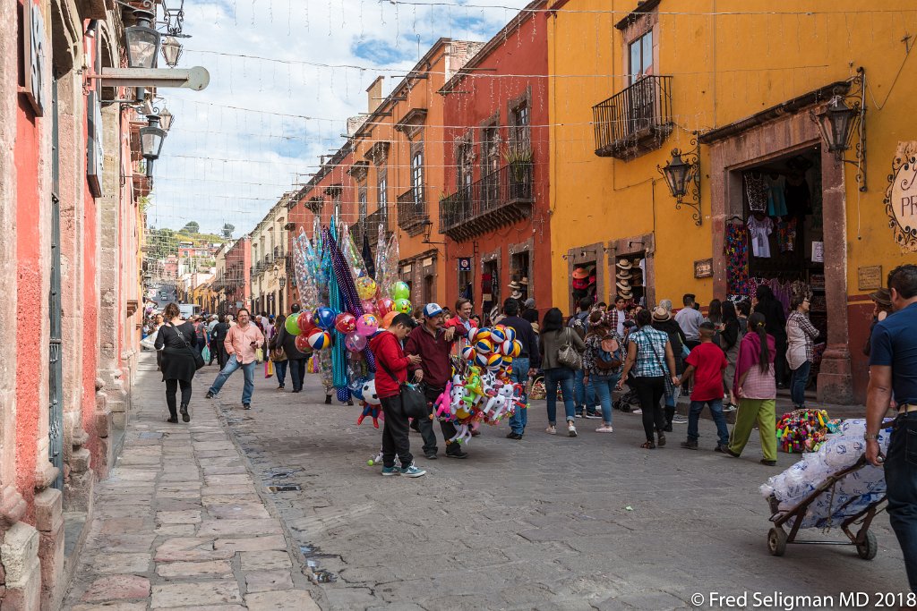 20171231_144926 D850.jpg - San Miguel de Allende