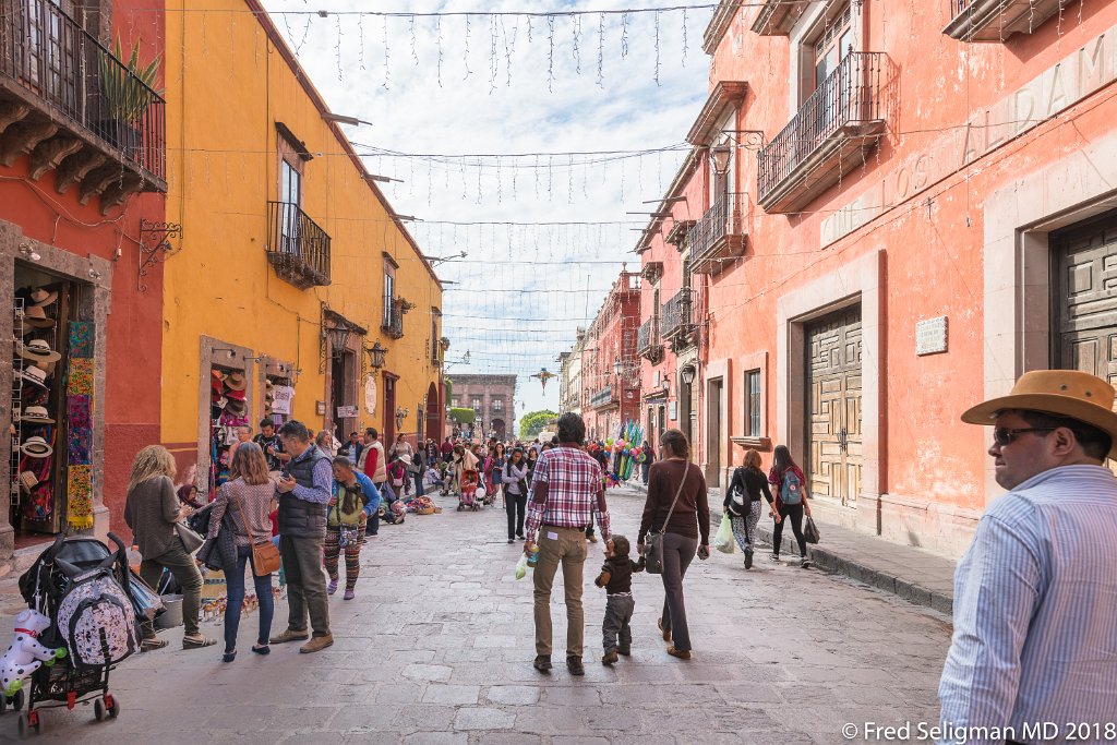 20171231_145214 D850.jpg - San Miguel is noted for its streetscapes with narrow cobblestone lanes