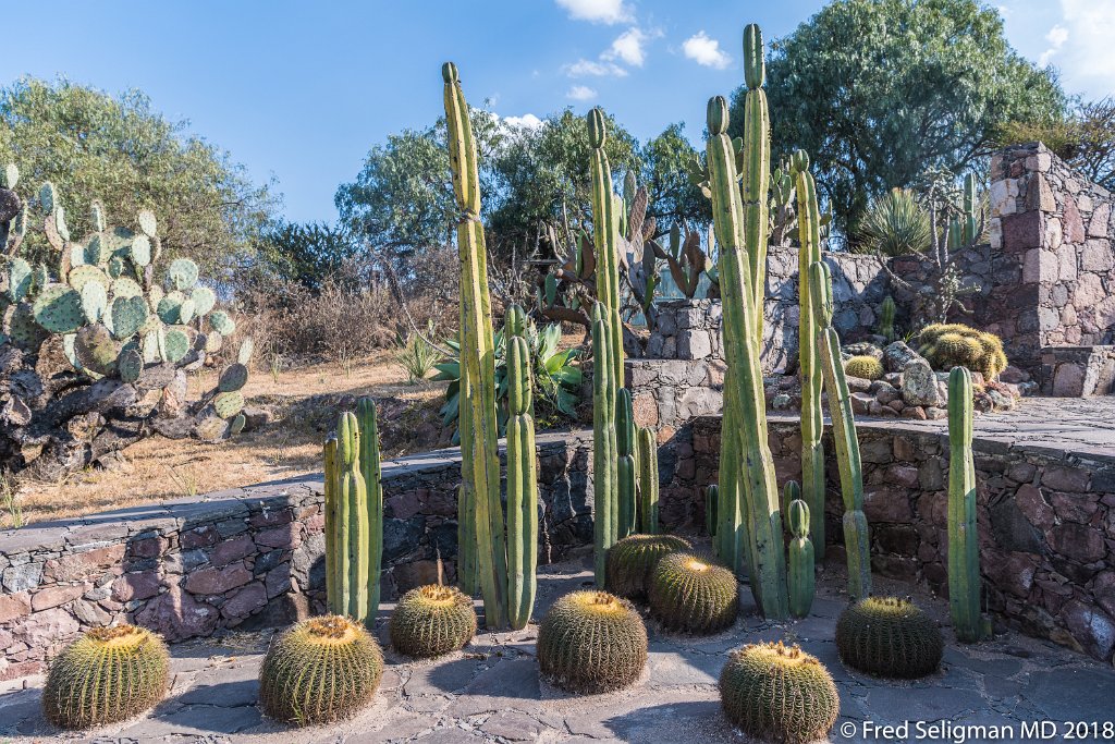 20180101_164502 D850.jpg - Botanical Gardens, San Miguel de Allende