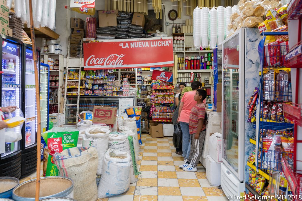 20180102_184622 D850.jpg - San Miguel de Allende