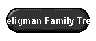 Seligman Family Tree